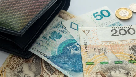 ​Urząd Skarbowy odda pieniądze osobom, które ociepliły domy. Na stole nawet kilkadziesiąt tysięcy
