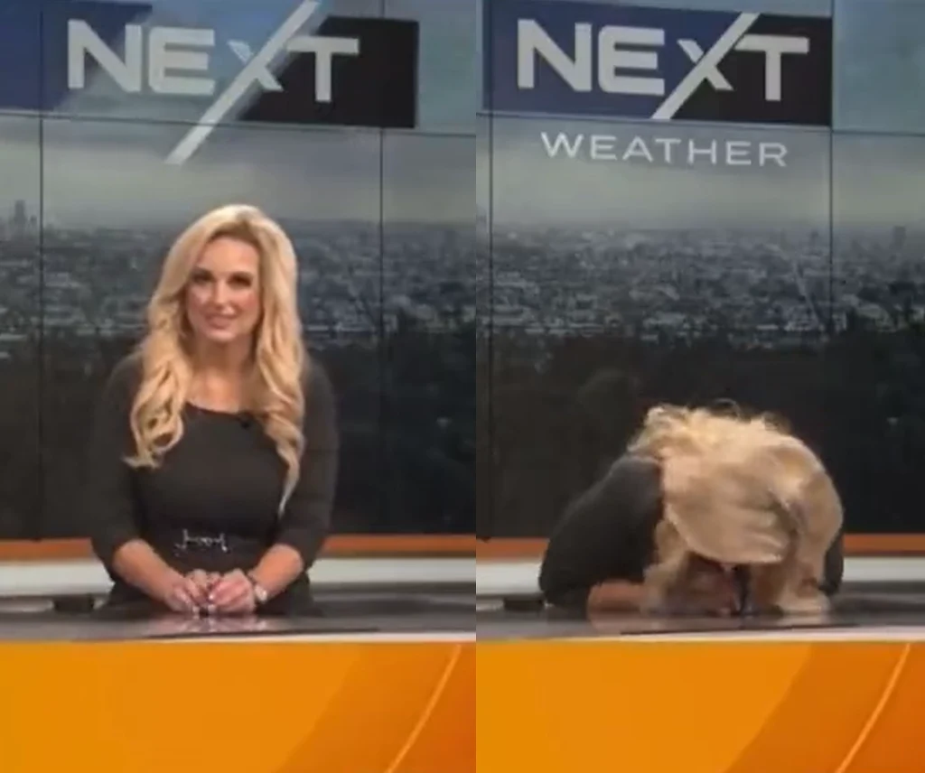 Dziennikarka zemdlała na wizji Dziennikarka zemdlała na wizji