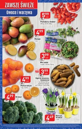 Stokrotka Optima - wiosenna ofensywa cenowa!