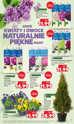 Kaufland - każdy z nas oszczędza!