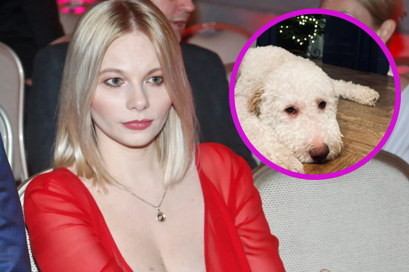 Małgorzata Walczak zajmuje się psem Filipa Chajzera Małgorzata Walczak zajmuje się psem Filipa Chajzera