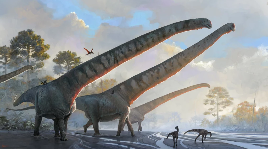Naukowcy odkryli, że dinozaury z gatunku Mamenchisaurus sinocanadorum miały szyje kilkukrotnie dłuższe niż żyrafy. Mierzyły one ponad 15 metrów długości