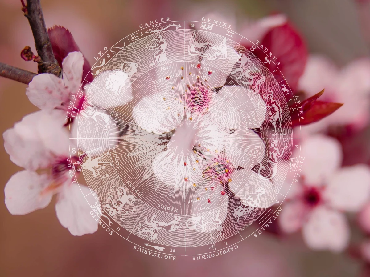 Horoskop kwiatowy