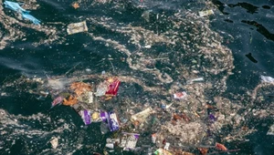 Zakaz jednorazowego plastiku nie wystarczy. Polska wciąż nie wprowadza unijnych przepisów