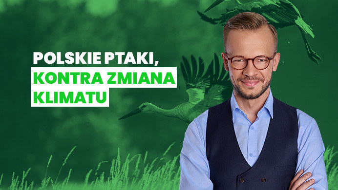 Polskim ptakom najbardziej zagraża utrata siedlisk. 