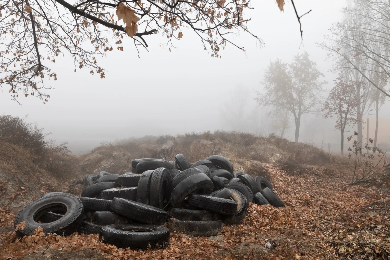 Wyrzucanie opon i innych odpadów do lasu szkodzi środowisku i podlega surowej karze