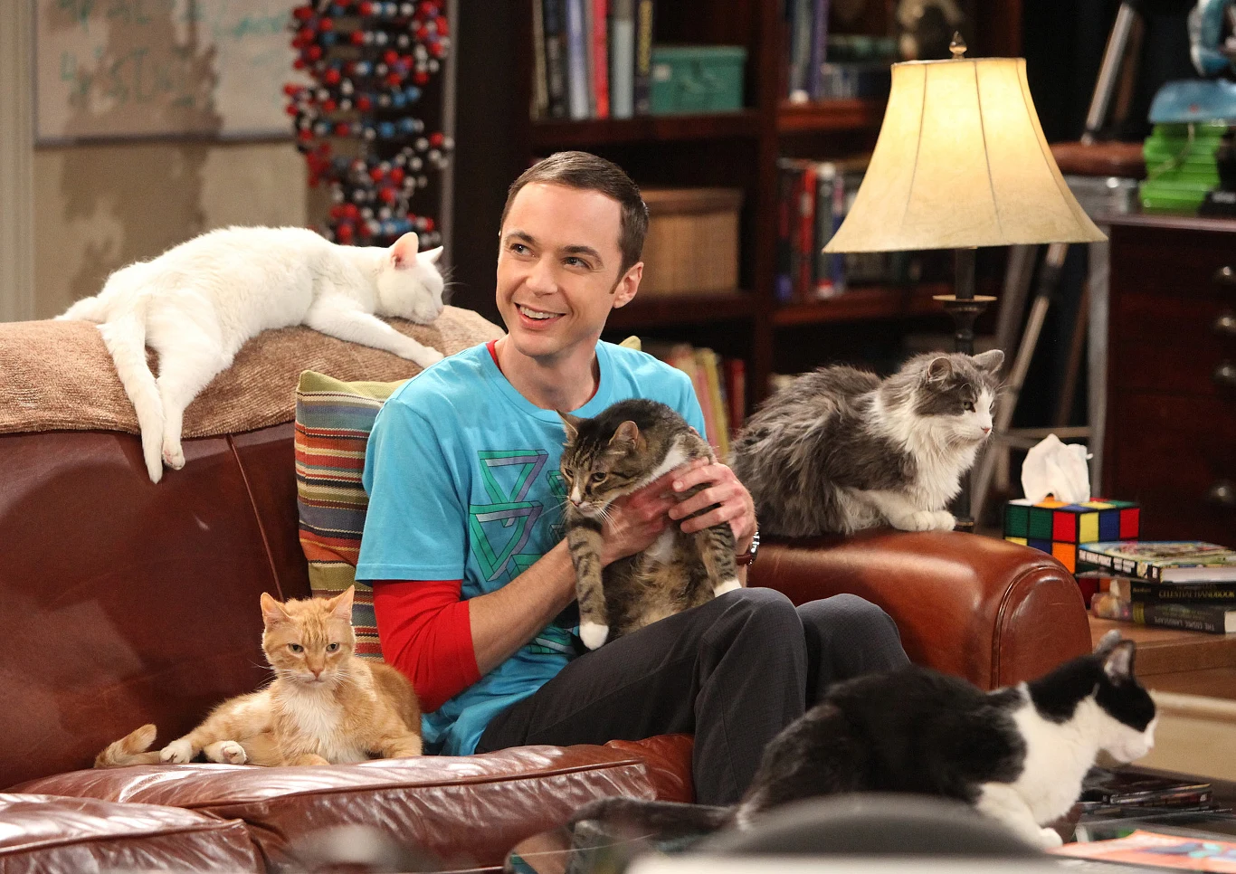 Jim Parsons w serialu "Teoria wielkiego podrywu"