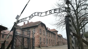 Muzeum Auschwitz opublikowało informacje o nowym znalezisku na terenie byłego obozu. To nietypowe szachy.