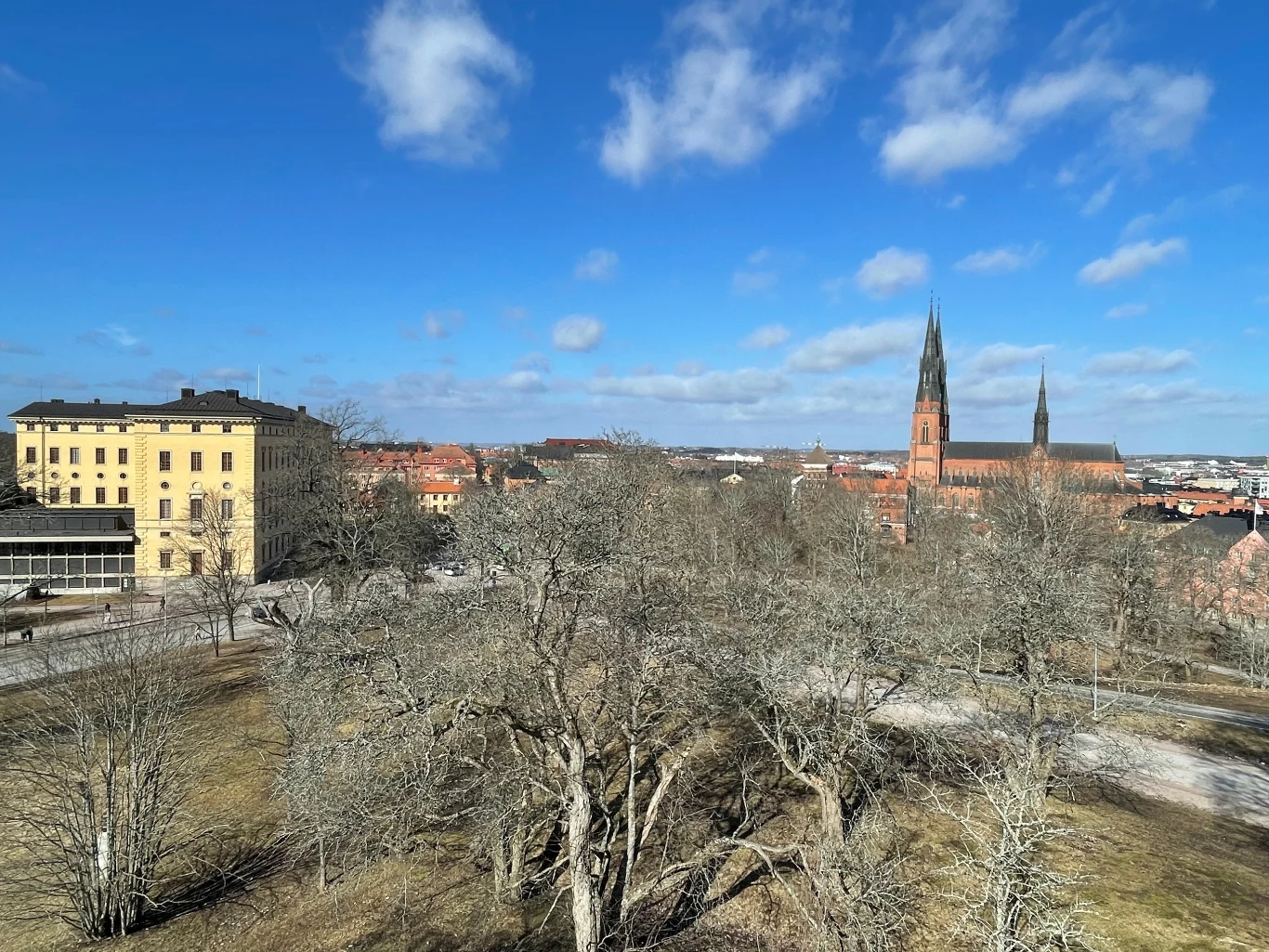 Uppsala. Z lewej bibliotek uniwersytecka, z prawej katedra
