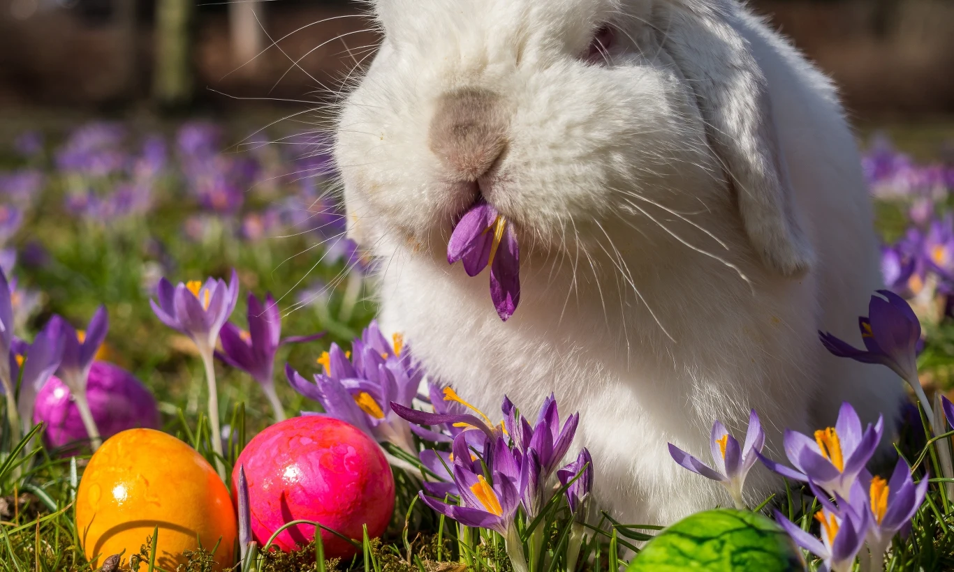 Śmieszne czy poważne życzenia wielkanocne? Wiele zależy od charakteru osoby, do której są skierowane Śmieszne czy poważne życzenia wielkanocne? Wiele zależy od charakteru osoby, do której są skierowane
