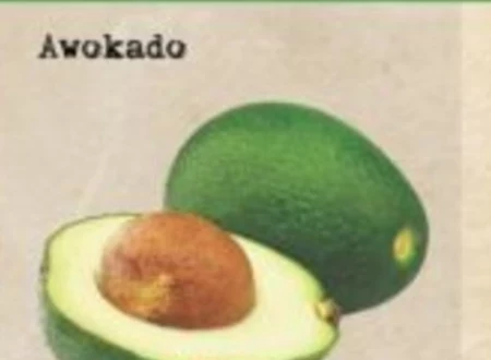 Awokado