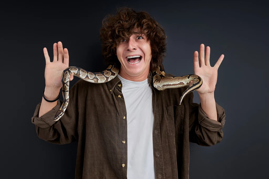Lęk przed wężami to jedna z najpopularniejszych fobii człowieka.