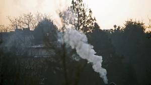 Które województwo najskuteczniej walczy ze smogiem? Wyniki mogą zaskoczyć