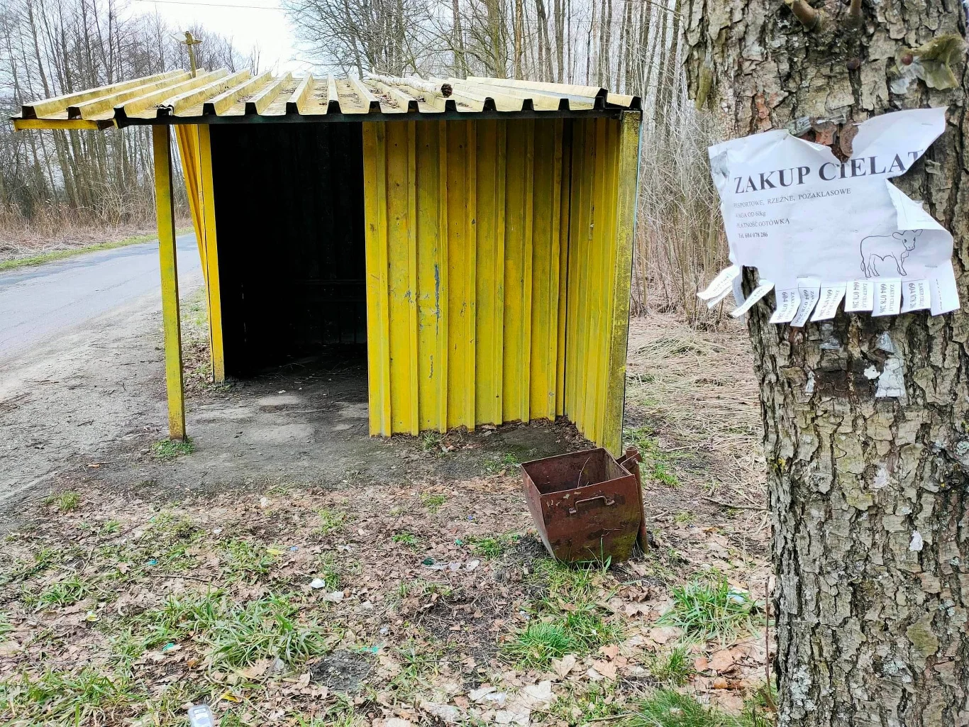 Stary przystanek w Ostrówce Stary przystanek w Ostrówce