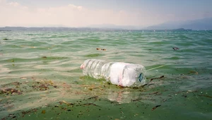 Plastikowe odpady w zbiornikach wodnych doprowadziły do powstania nowej choroby