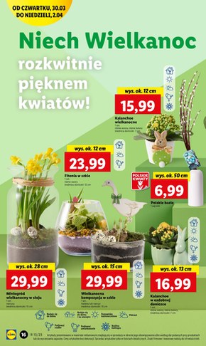 Wielkanocne okazje w sklepach Lidl od czwartku