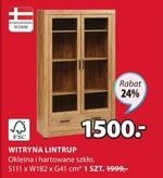 Witryna