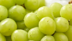 Winogrona to naturalne źródło witamin i przeciwutleniaczy. Ale jeść je trzeba ostrożnie - są słodkie jak cukierki!