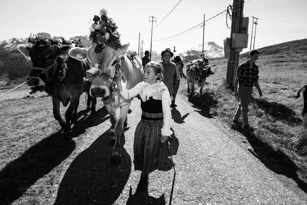 Co roku, na koniec lata, gdy zwierzęta schodzą z pastwisk w Livigno organizowane jest święto tzw. Alpen Fest