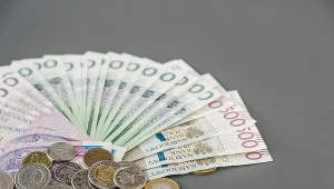 Polska waluta pozostaje stabilna w odniesieniu do dolara, traci natomiast nieznacznie względem euro i i franka