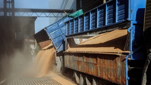 Zakaz importu produktów rolnych z Ukrainy wprowadzony przez polski rząd w sobotę może łamać zapisy dwóch międzynarodowych umów handlowych ustalonych przez Unię Europejską - informuje "Rzeczpospolita".