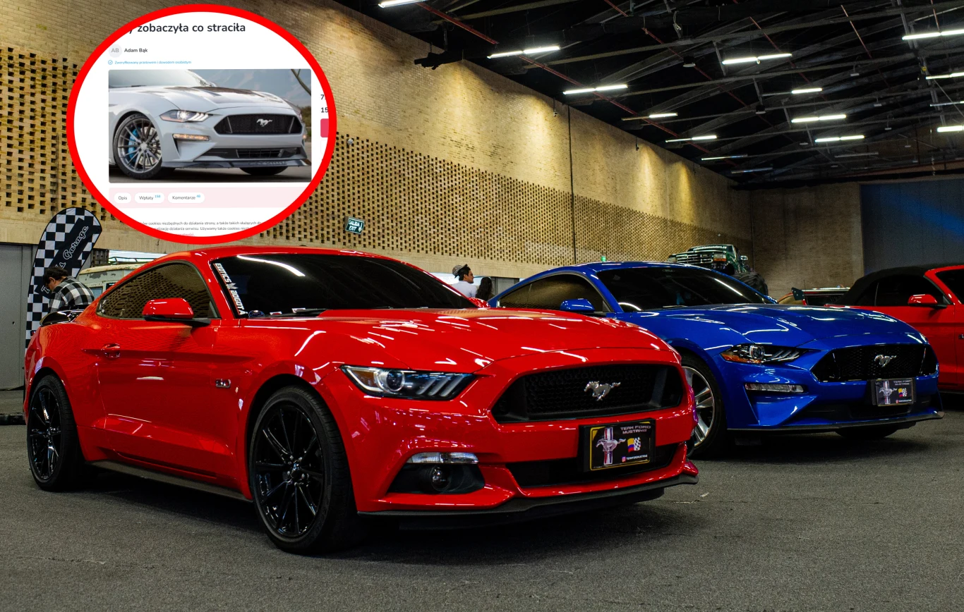 Pan Adam bardzo chciałby dołączyć do grona posiadaczy Fordów Mustangów. Ma coś do udowodnienia byłej dziewczynie Pan Adam bardzo chciałby dołączyć do grona posiadaczy Fordów Mustangów. Ma coś do udowodnienia byłej dziewczynie