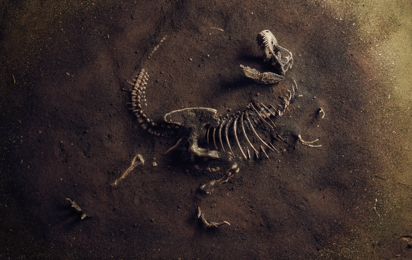 T-rex mógł mieć łuskowate wargi T-rex mógł mieć łuskowate wargi