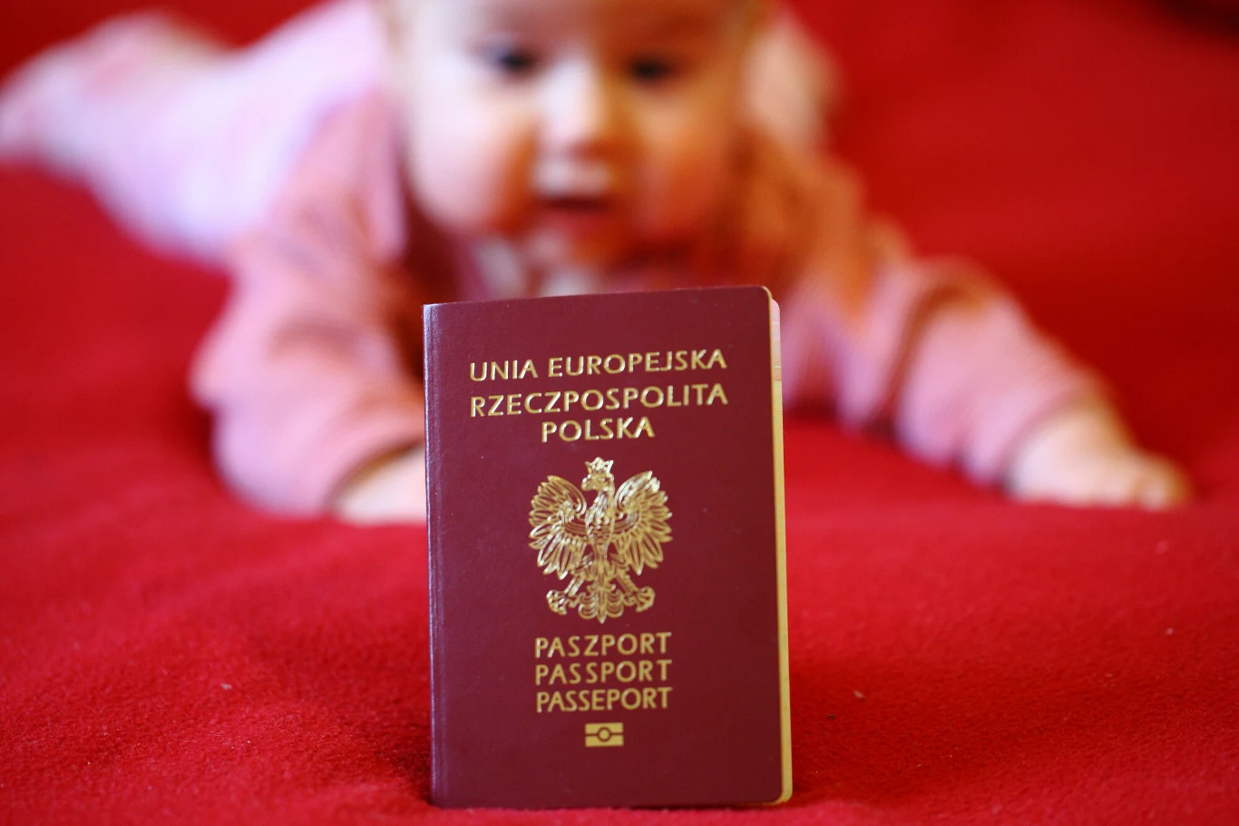 Wniosek o paszport dla dziecka można złożyć przez internet. Wniosek o paszport dla dziecka można złożyć przez internet.