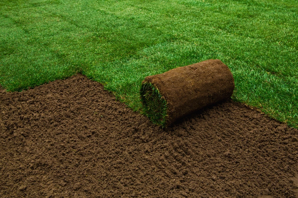 Jak przygotować ziemię pod uprawę trawnika?
