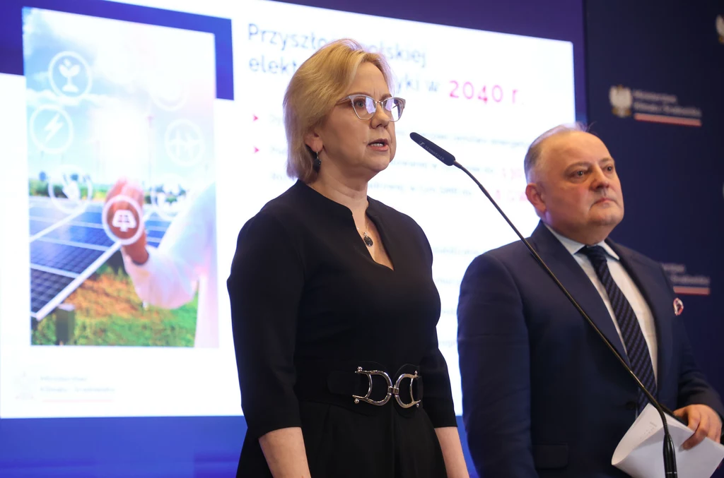 Minister klimatu i środowiska Anna Moskwa przedstawiła w poniedziałek założenia aktualizacji PEP2040. Była mowa o atomie, OZE, a także o odejściu od węgla