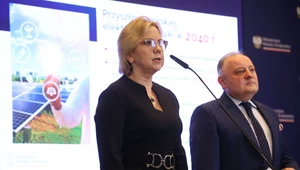 Anna Moskwa: W 2040 r. aż 73 proc. energii w Polsce będzie z OZE i atomu