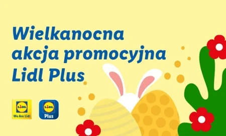 praca lidl