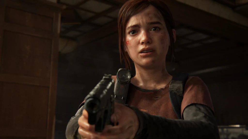 The Last of Us The Last of Us