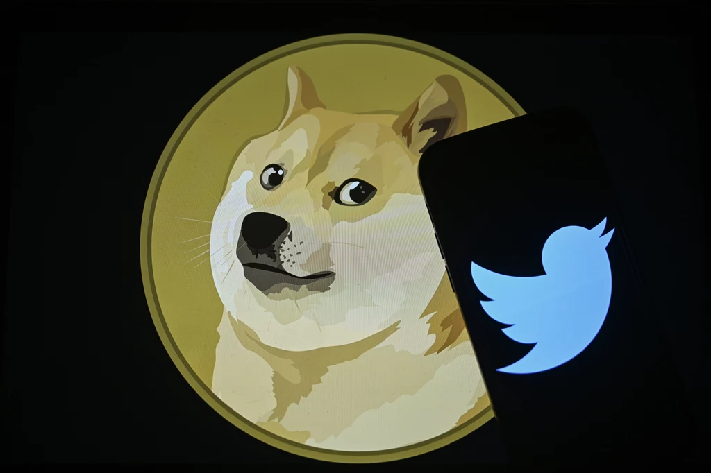 Dogecoin a logo Twittera. Elon Musk podpił cenę kryptowaluty Dogecoin a logo Twittera. Elon Musk podpił cenę kryptowaluty