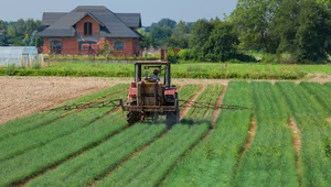 Do jakich upraw są największe dopłaty 2023? Nowe stawki wsparcia dla rolników