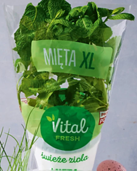 Mięta Vital Fresh