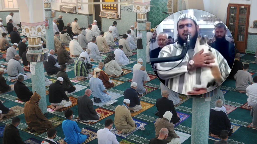Do nietypowego zdarzenia doszło w tym tygodniu w Algierii. Podczas modlitwy z okazji ramadanu na imama nagle wskoczył kot. Mężczyzna w ogóle się nie przestraszył - przytulił zwierzę i kontynuował modlitwę