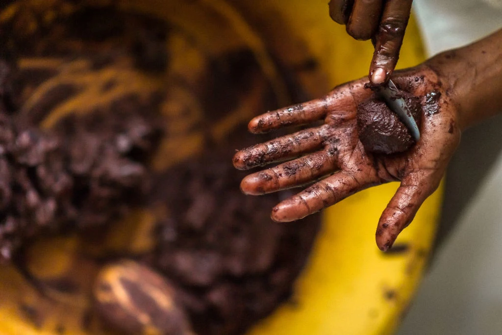 Warunki do uprawy kakaowców są tylko w krajach Afryki oraz Ameryki Centralnej i Południowej. Niestety osoby, które zajmują się produkcją kakao i jego pochodnych najczęściej żyją na granicy ubóstwa