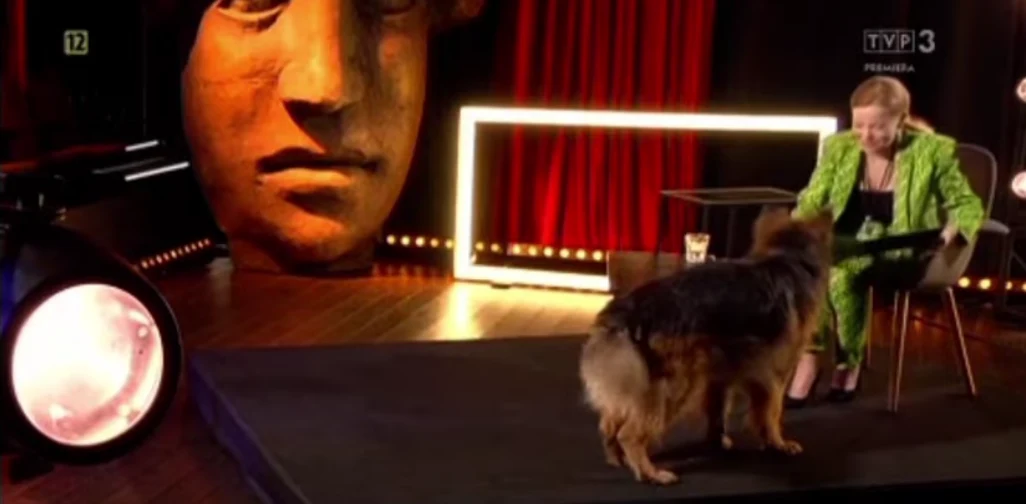 "Rola życia" z udziałem owczarka "Rola życia" z udziałem owczarka