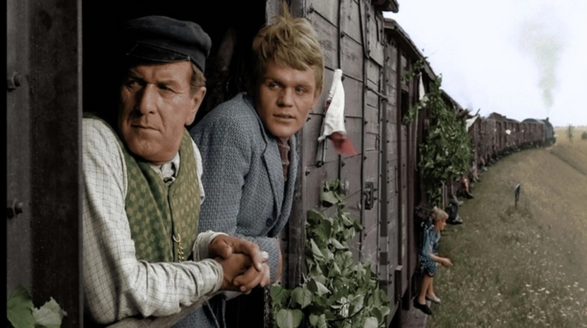 "Sami swoi" "Sami swoi"