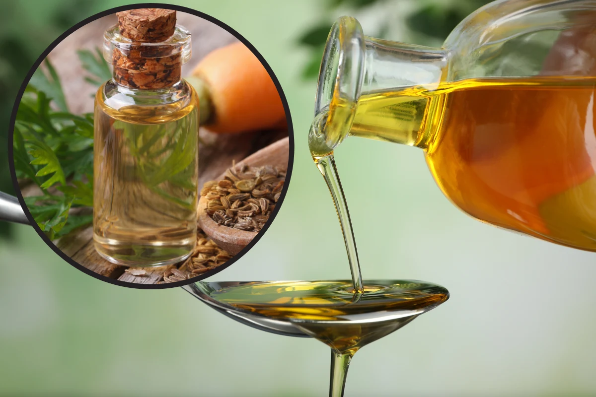 Olejek z nasion marchwi pij lub nakładaj na skórę. Zyskasz zdrowie, młody wygląd i spokojne nerwy Olejek z nasion marchwi pij lub nakładaj na skórę. Zyskasz zdrowie, młody wygląd i spokojne nerwy