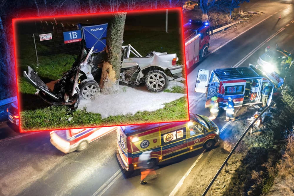 W tragicznym wypadku zginął pasażer BMW /fot. Michał Adamowski/East News /OSP Siechnice