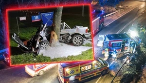 W tragicznym wypadku zginął pasażer BMW /fot. Michał Adamowski/East News /OSP Siechnice