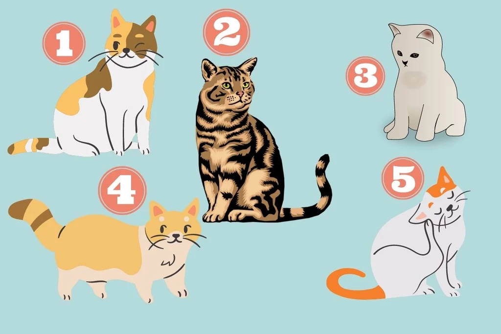 Który z kotów jest najładniejszy? / Canva