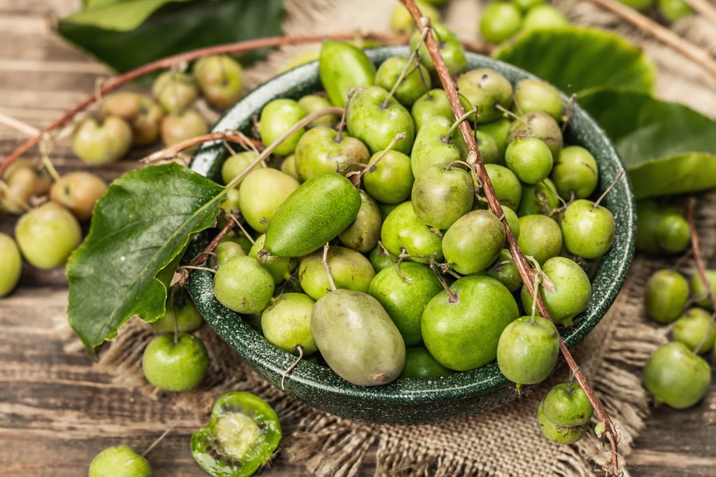 Actinidia arguta, czyli mini-kiwi