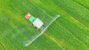 Pestycydy są wszędzie. Ponad milion Europejczyków chce ich zakazania - KE odpowiada