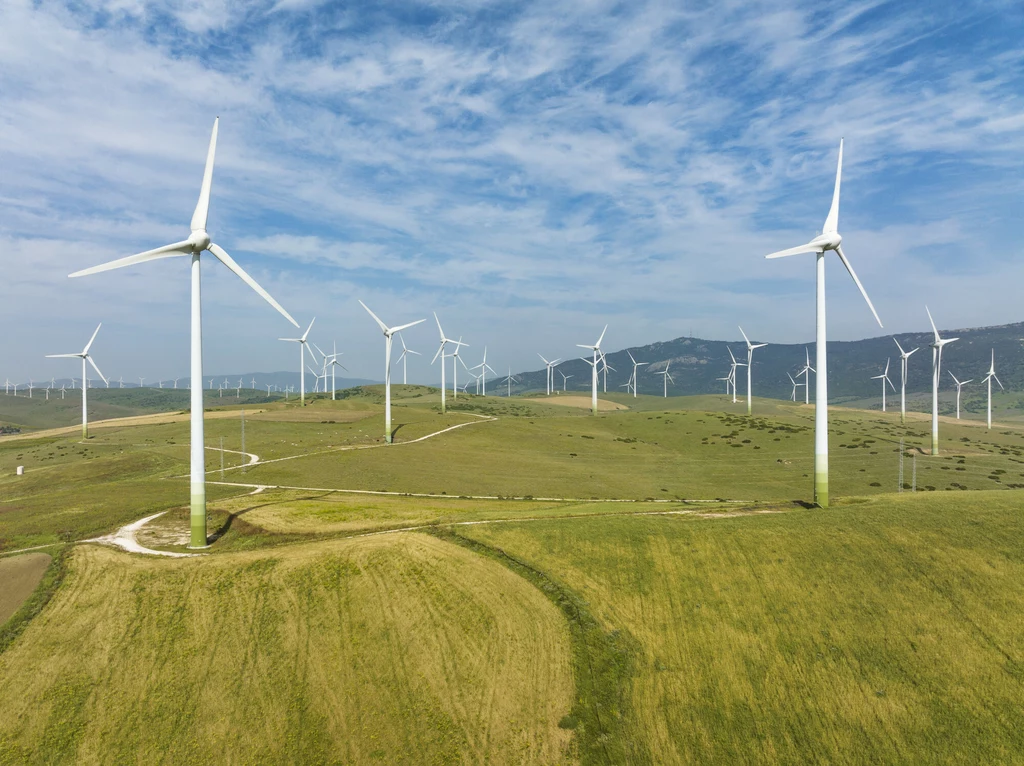 Poziom energii wiatrowej i słonecznej w 2022 r. pokrywał 80% wzrostu światowego zapotrzebowania na energię elektryczną