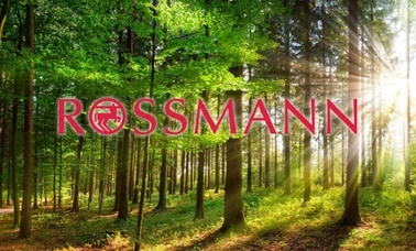 Rossmann sadzi las na swój jubileusz