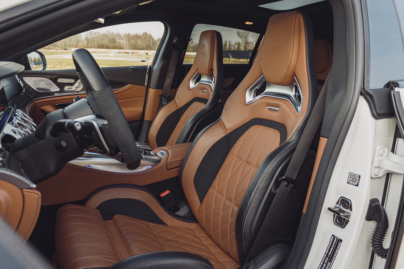 Mercedes-AMG GT 63 S E Performance