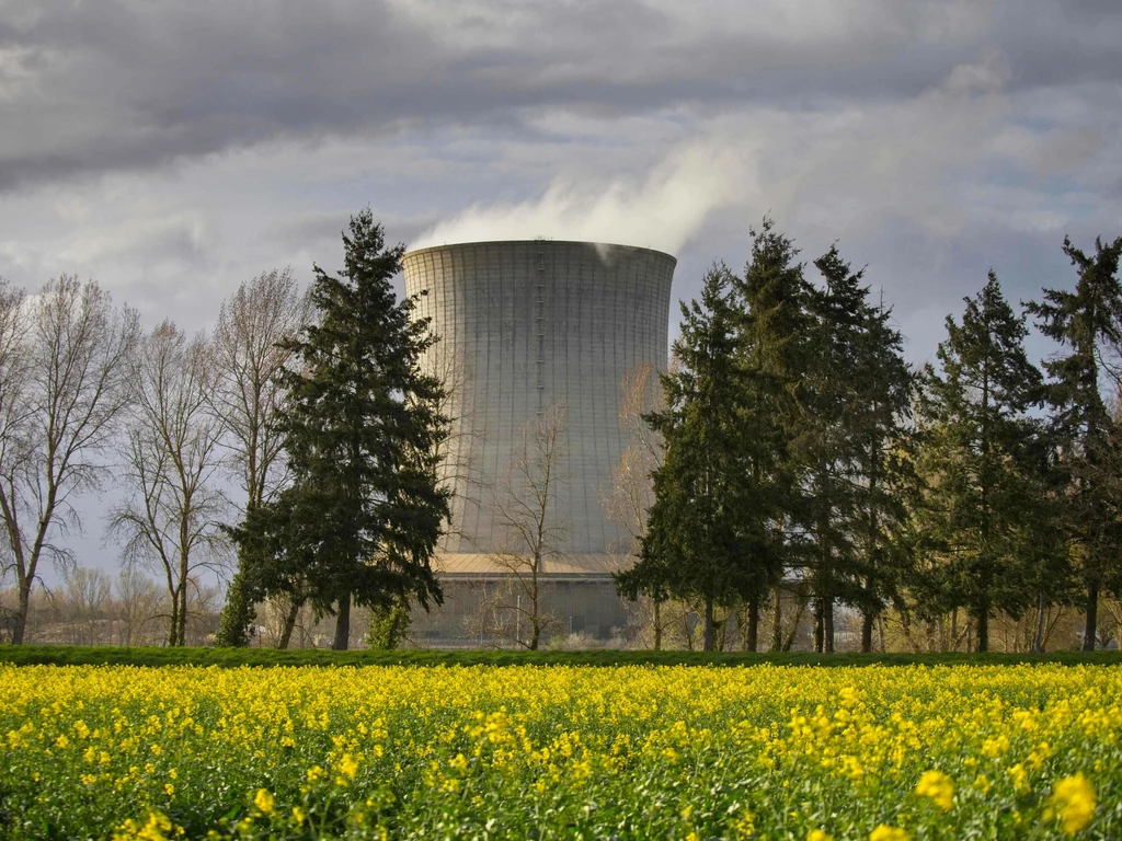 Jak działa elektrownia atomowa?